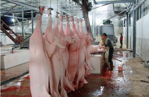 屠宰廢水處理方法有哪些？屠宰廢水處理設(shè)備價(jià)格？-01