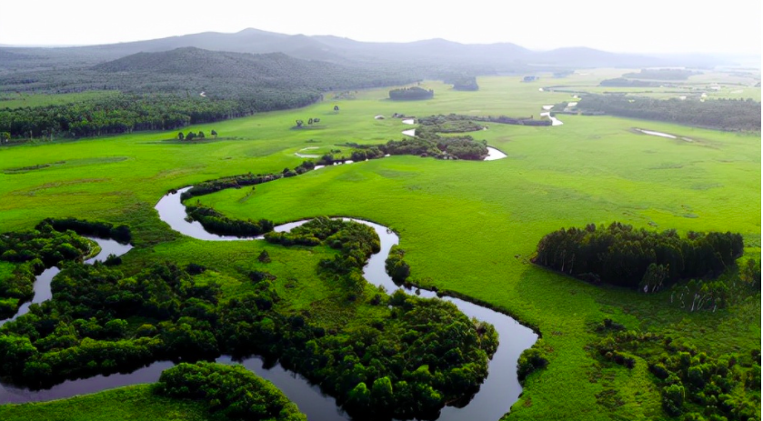 哈爾濱大量污水未經處理直排松花江，會對當?shù)芈糜螛I(yè)帶來哪些影響