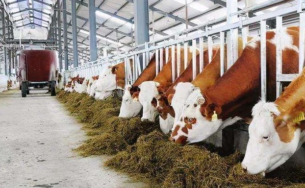 養(yǎng)殖污水處理設備的如何調(diào)試才能保障正常運行？02