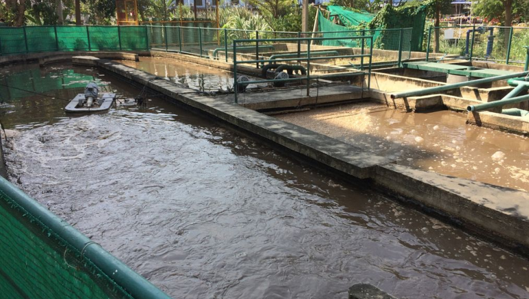 食品加工污水處理流程有哪些？如何更好的處理食品廢水？